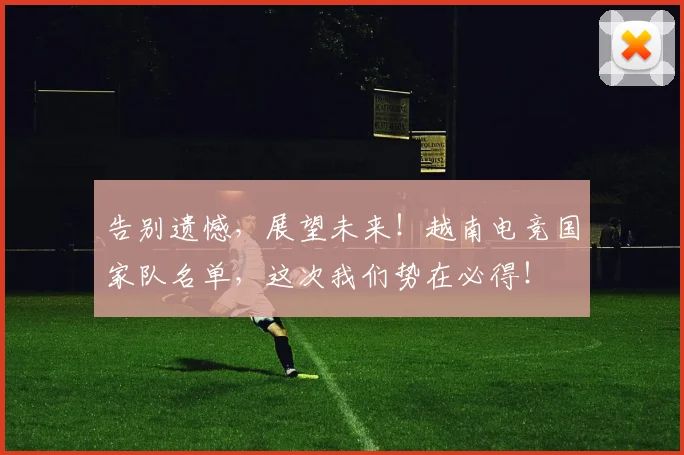 告别遗憾，展望未来！越南电竞国家队名单，这次我们势在必得！